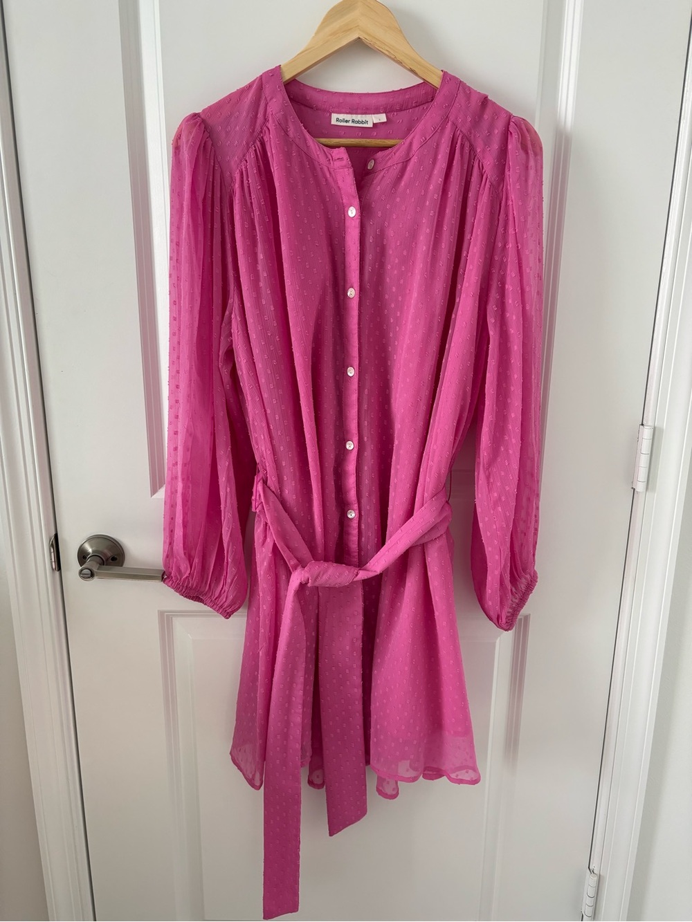 Roller Rabbit | Evita Swiss Dot Ruffle Lace Long Sleeve Pink Dress Size L